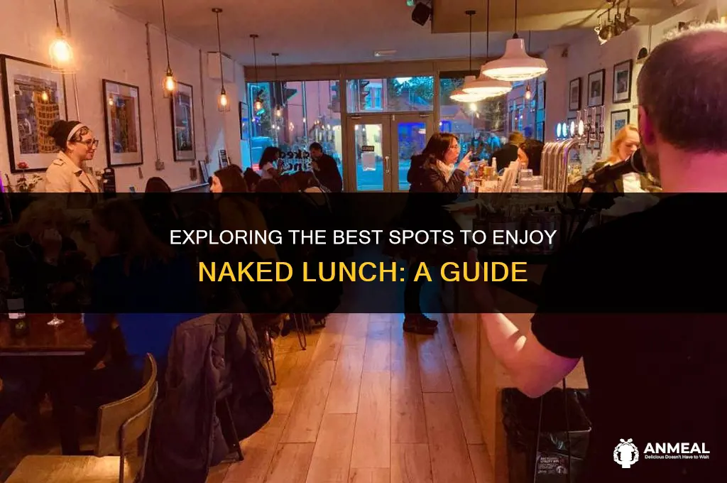 where to watch naked lunch