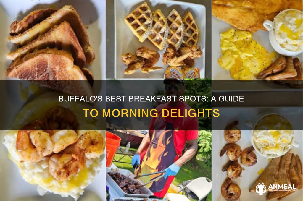 where tovear breakfast in buffalo