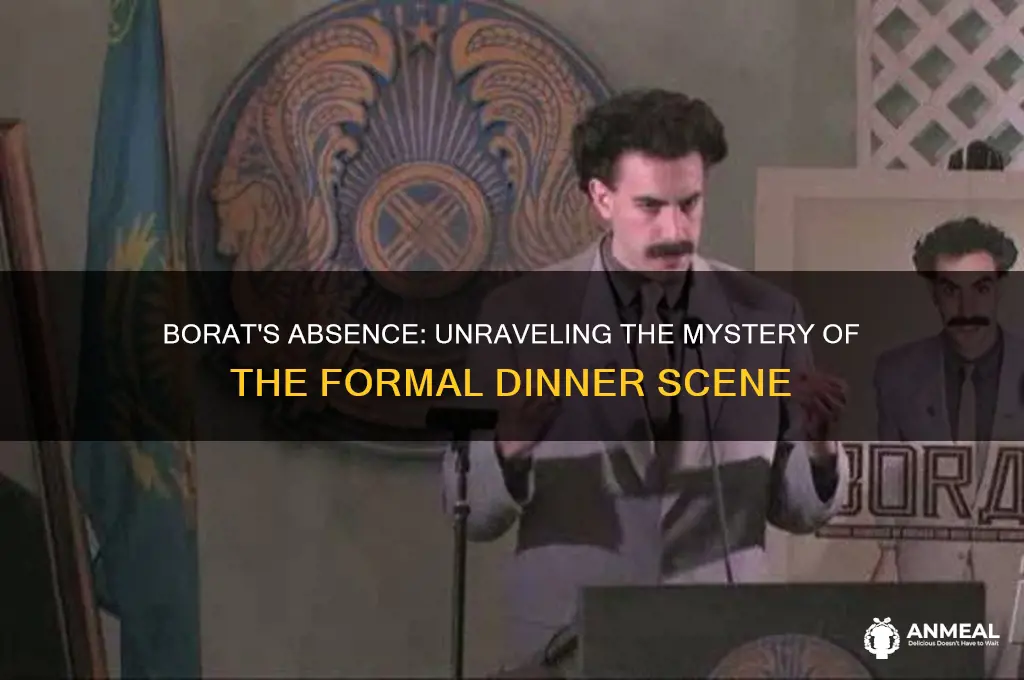 where was borat during the formal dinner scene