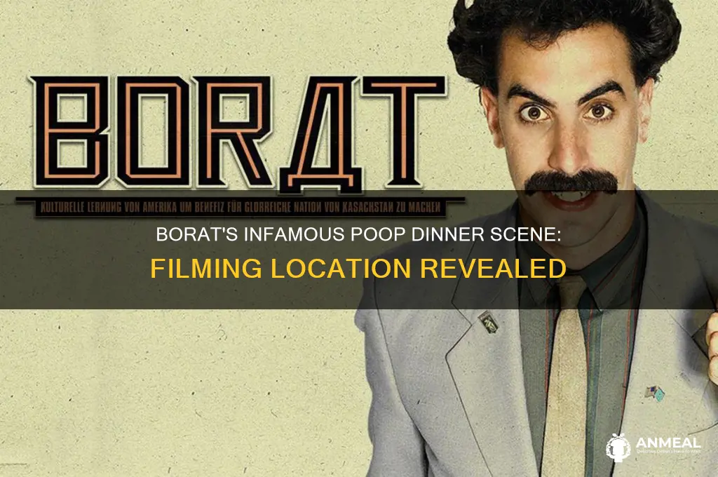 where was borat filmed during the dinner with the poop