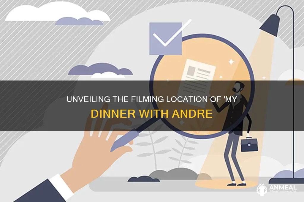 where was my dinner with andre filmed