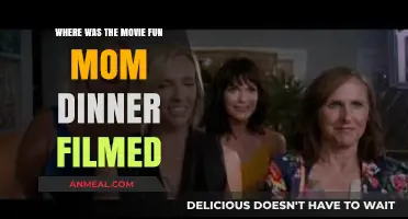 Fun Mom Dinner Filming Locations: Where Was the Movie Shot?