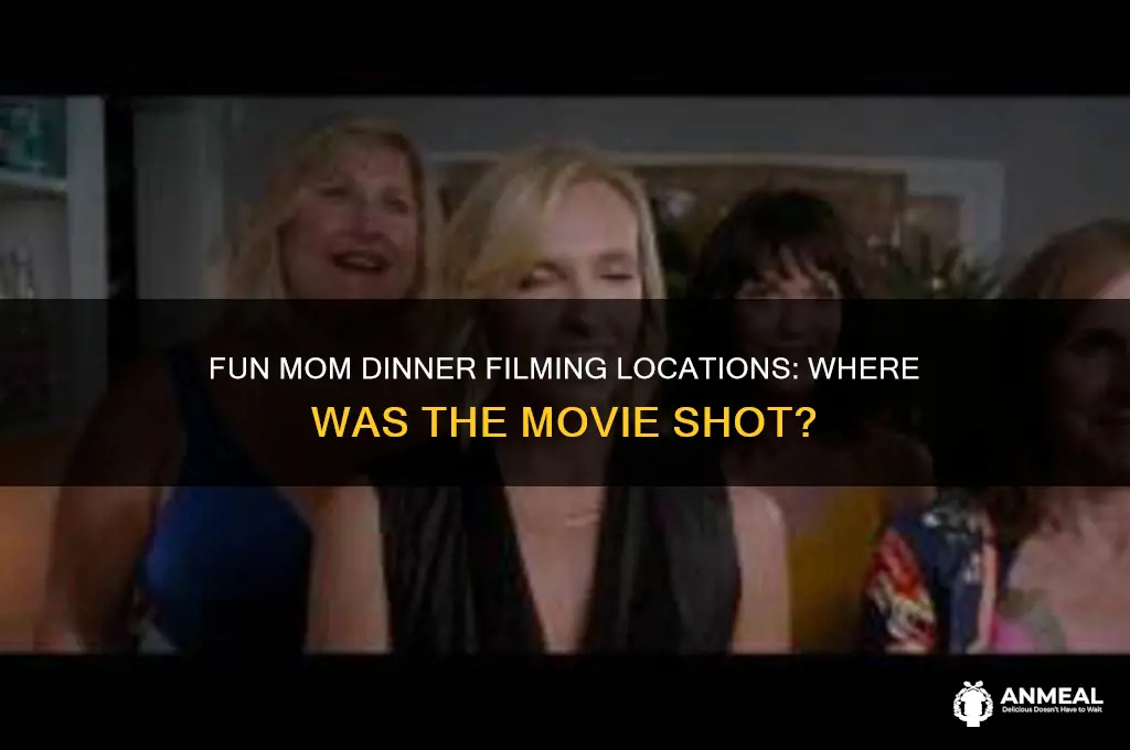 where was the movie fun mom dinner filmed