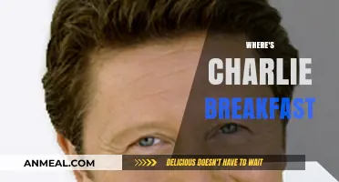 Where's Charlie Breakfast: A Morning Mystery Unveiled