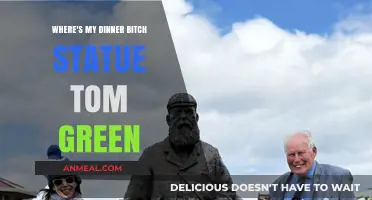 Tom Green's 'Where's My Dinner, Bitch' Statue: A Hilarious Icon Explored