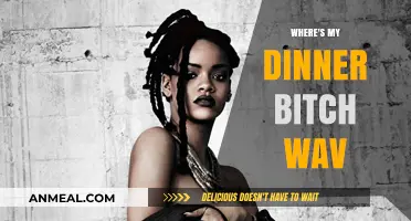 Where's My Dinner Bitch WAV: Decoding the Viral Sound Clip