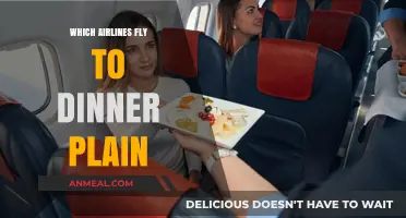 Discover Airlines Offering Flights to Dinner Plain: Your Travel Guide