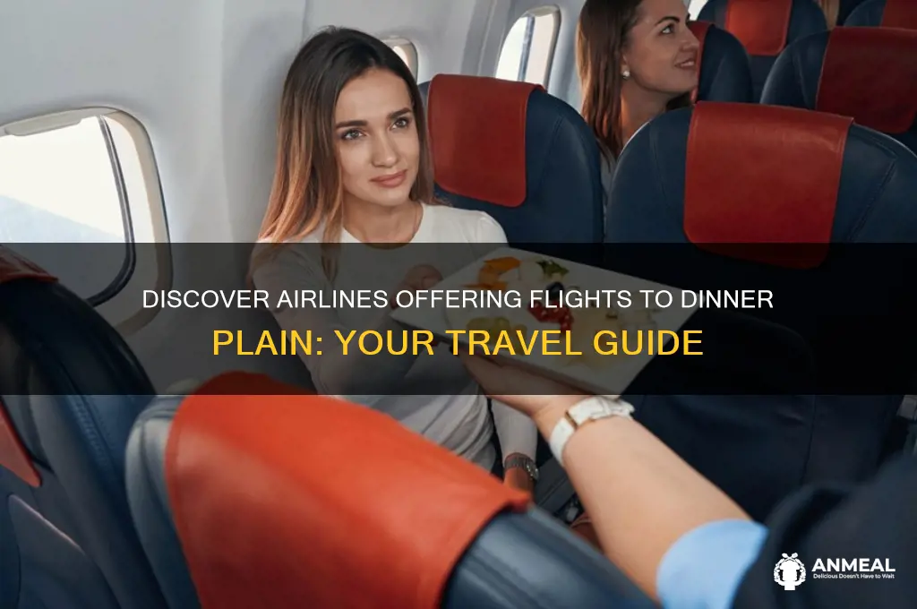 which airlines fly to dinner plain