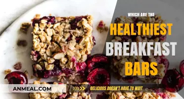 Nutritious Breakfast Bars: Top Picks for a Healthy Morning Boost