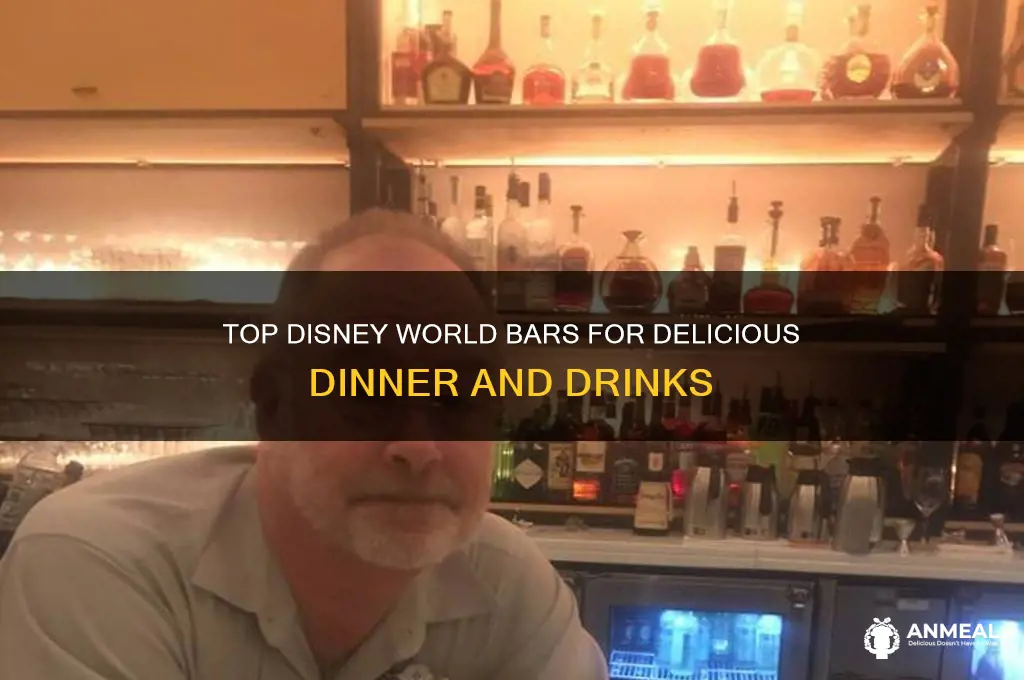 which bars at disneyworld are best for dinner