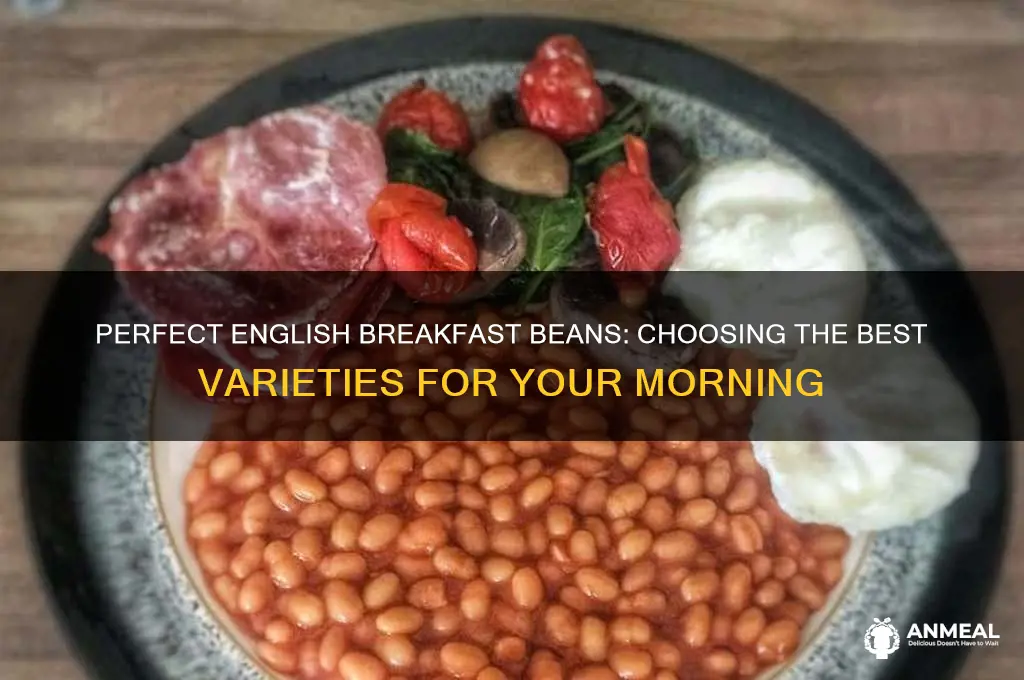 which beans for english breakfast