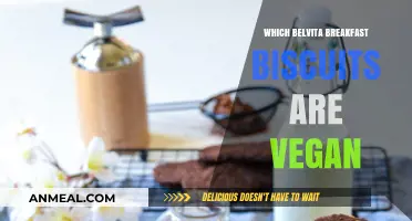 Vegan-Friendly Belvita Breakfast Biscuits: A Complete Guide to Your Options