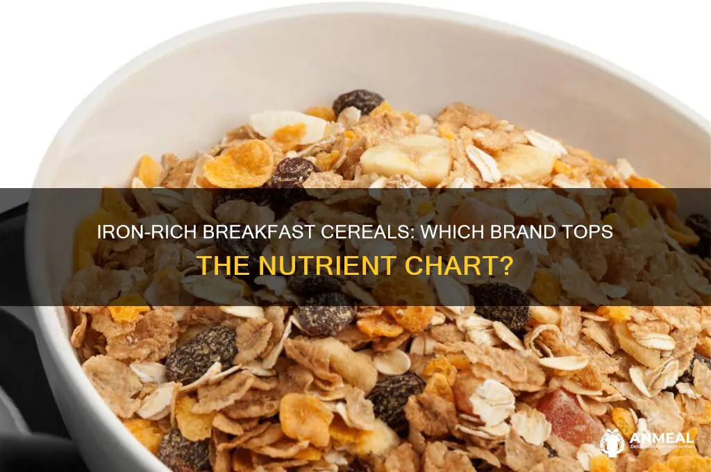 which breakfast ceral has the most iron