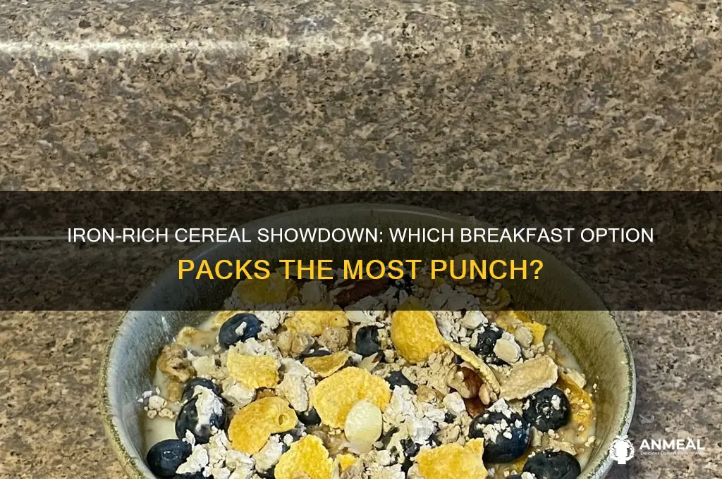 which breakfast cereal contains the most iron procedures