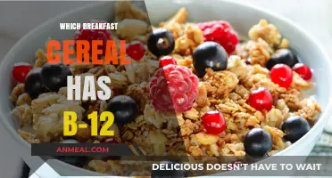 Boost Your B-12 Intake: Top Breakfast Cereals Packed with Vitamin B-12