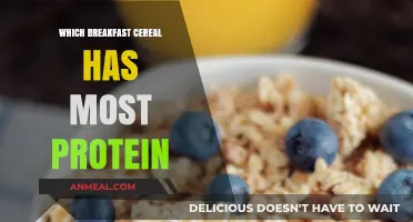 High-Protein Breakfast Cereals: Top Picks for a Nutritious Morning Boost