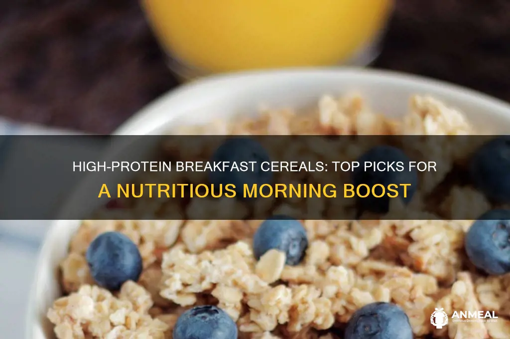 which breakfast cereal has most protein