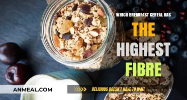 Top High-Fiber Breakfast Cereals for a Healthy Morning Boost