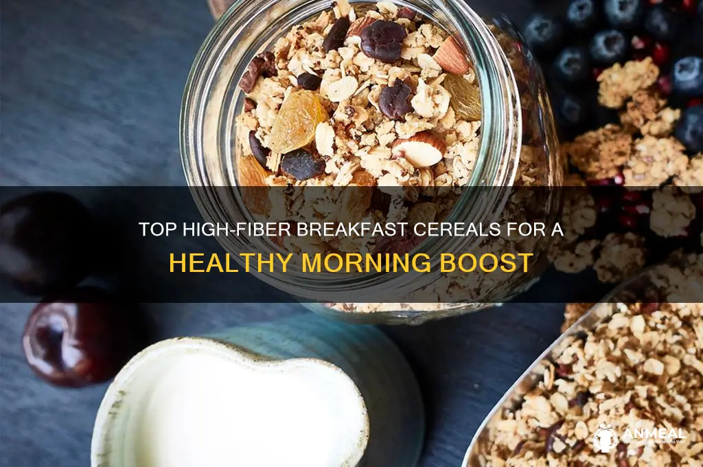 which breakfast cereal has the highest fibre