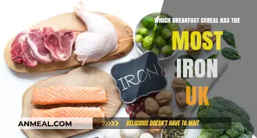 Iron-Rich Breakfast Cereals: Top UK Picks for a Nutritious Start