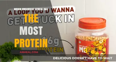 Breakfast Cereals: A Protein-Packed Morning Treat