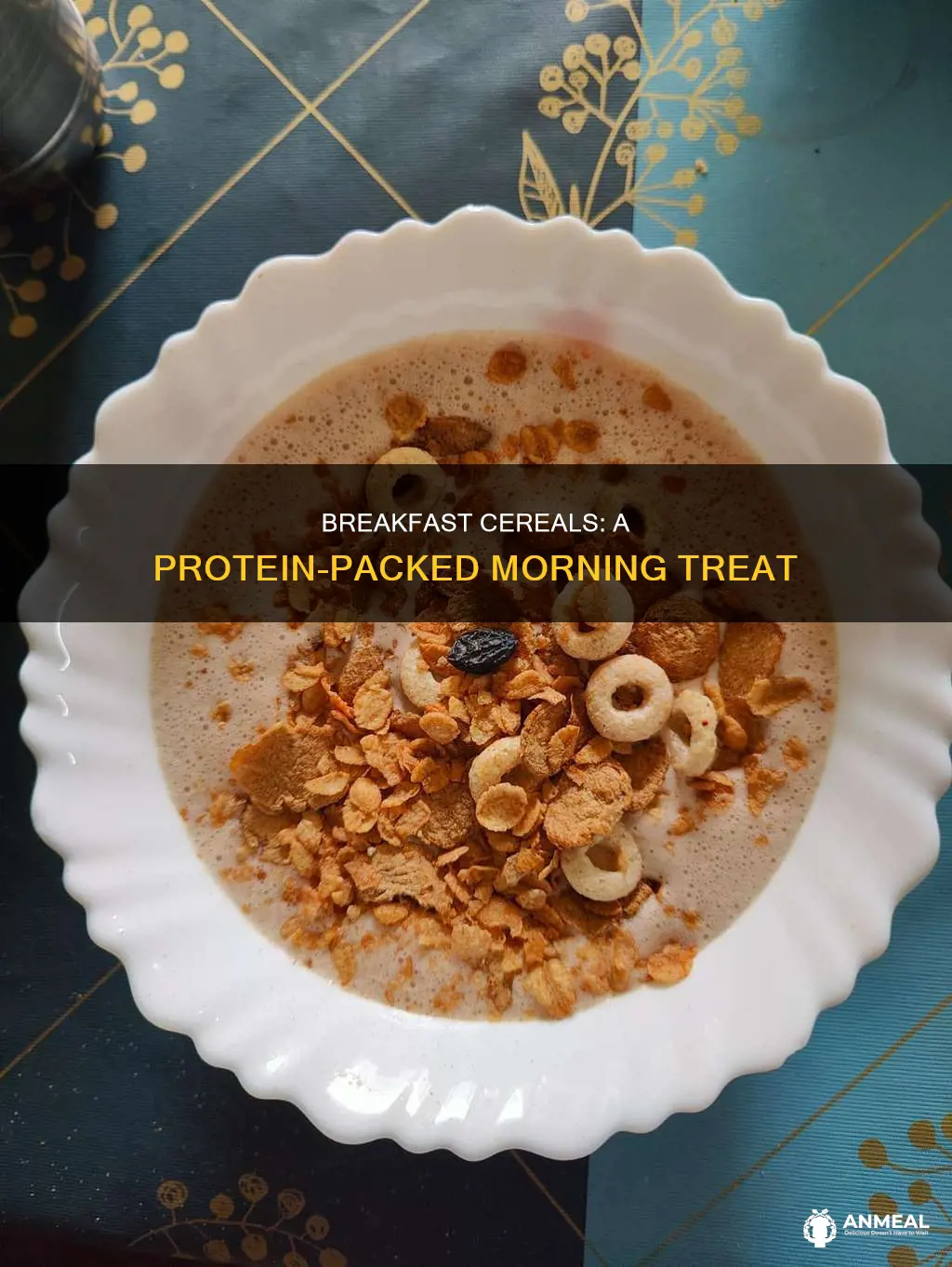 which breakfast cereal has the most protein