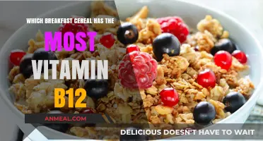 Boost Your B12: Top Vitamin-Rich Breakfast Cereals Revealed