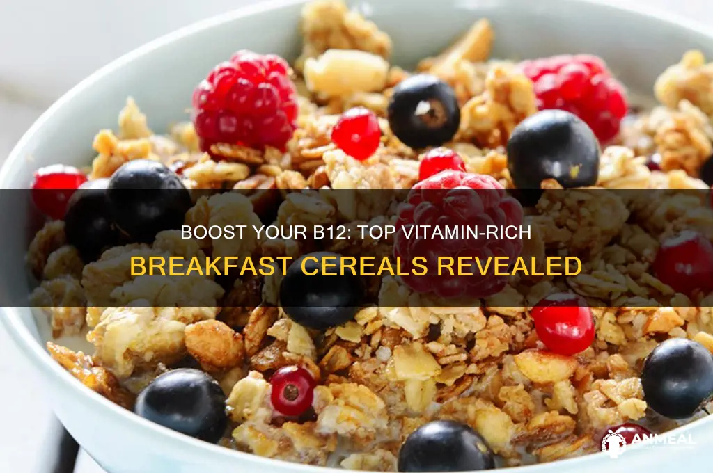 which breakfast cereal has the most vitamin b12