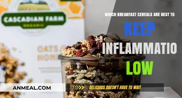 Anti-Inflammatory Breakfast Cereals: Top Picks for a Healthier Morning