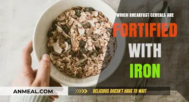Breakfast Cereals: Fortified Iron Options for a Healthy Start