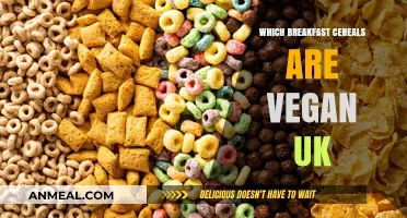 Discover the Best Vegan Breakfast Cereals in the UK