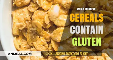 Gluten-Free Breakfast Guide: Cereals to Avoid and Enjoy Safely
