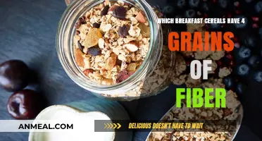 High-Fiber Breakfast Cereals: 4-Grain Options for a Healthy Start