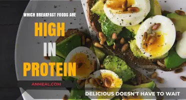 Protein-Packed Breakfasts: Top Foods to Fuel Your Morning Energy