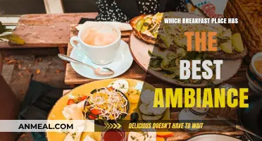 Discover the Coziest Breakfast Spot with the Perfect Ambiance