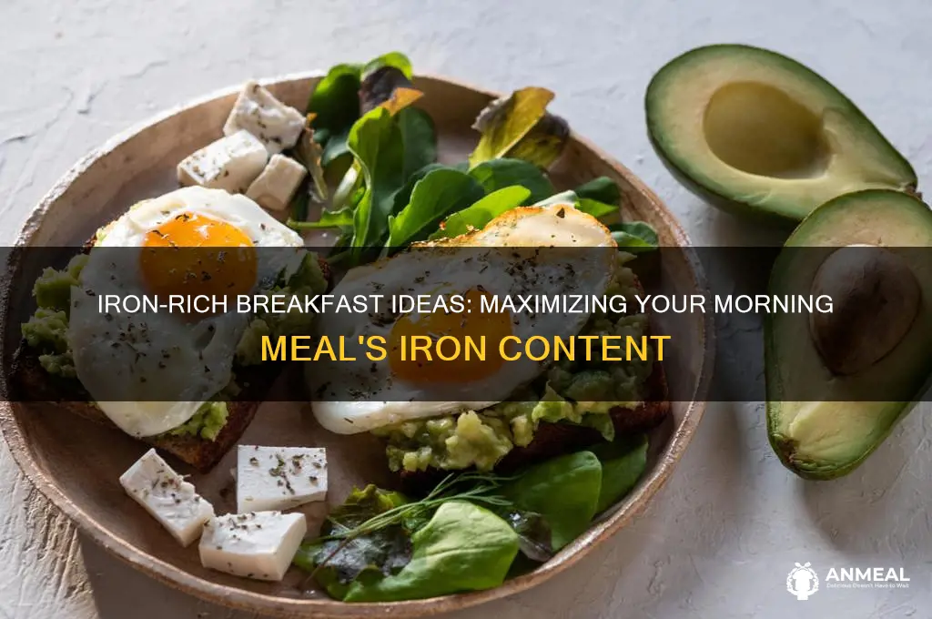 which breakfast would contain the most iron procedures
