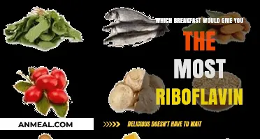 Boost Your Riboflavin Intake: Top Breakfast Foods for Optimal Energy