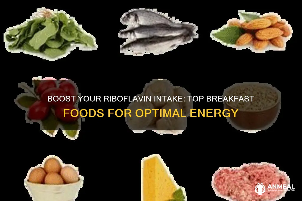 which breakfast would give you the most riboflavin
