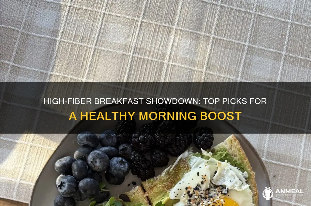 which breakfast would provide the most fiber