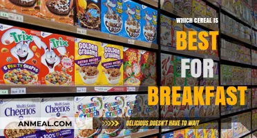 Crunchy Morning Choices: Ranking the Best Cereals for Breakfast