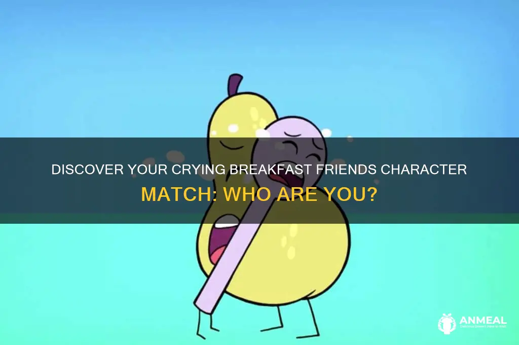 which character are you from crying breakfast friends