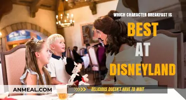 Disneyland's Best Character Breakfast: A Magical Morning Meal Guide