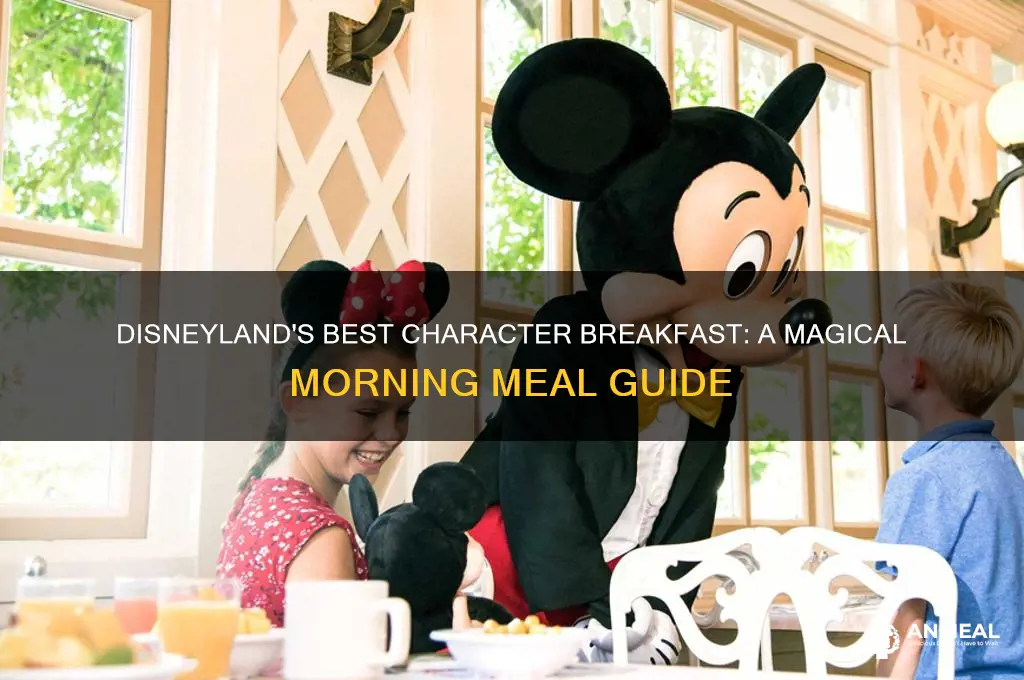 which character breakfast is best at disneyland