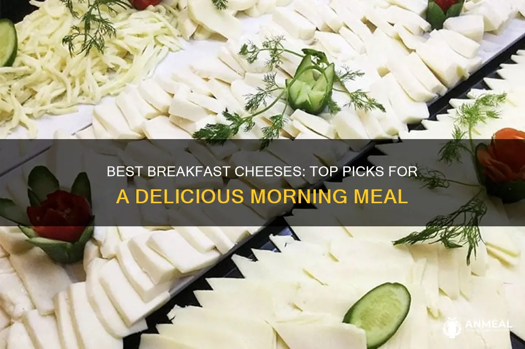 which cheese is best for breakfast