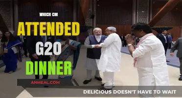 CMs at G20 Dinner: Who Represented Their States?