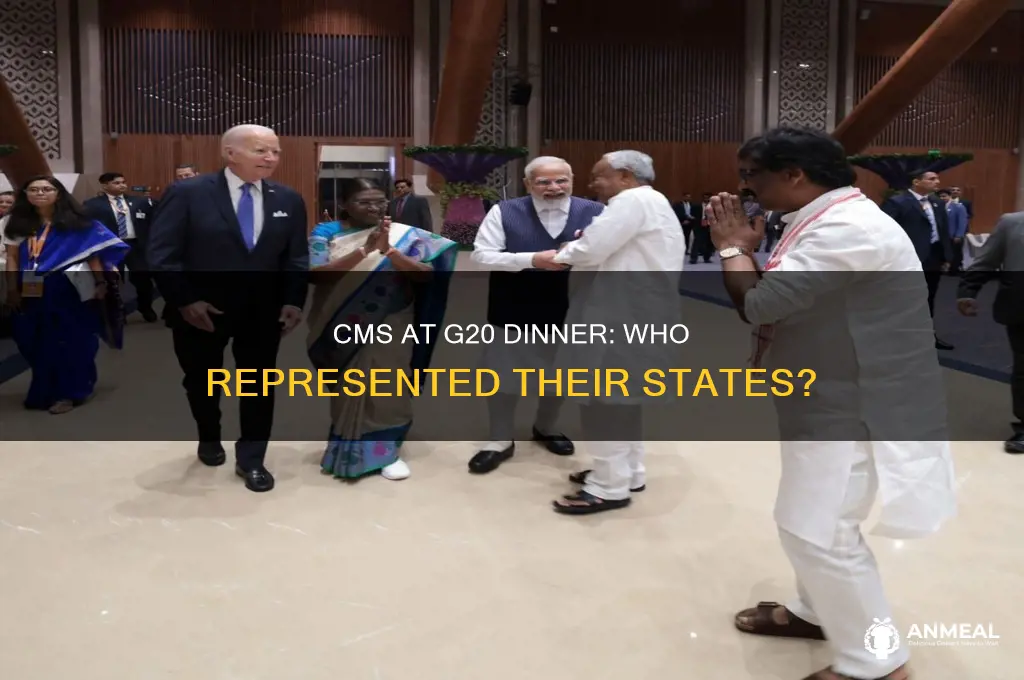 which cm attended g20 dinner