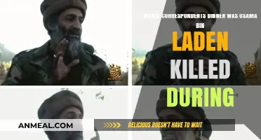 Osama Bin Laden's Death: Which Correspondents' Dinner Coincided?