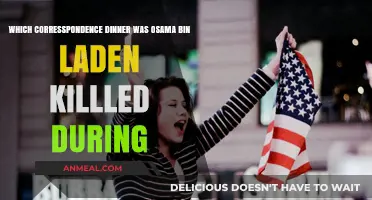 Osama Bin Laden's Death: The Correspondence Dinner Connection