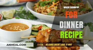 Global Dinner Delights: Exploring Countries Through Signature Recipes