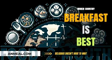 Global Breakfast Battle: Which Country Serves the Ultimate Morning Meal?
